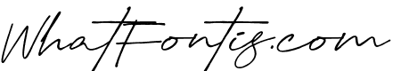 Creative Signature Regular