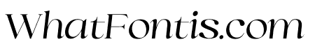 Selino Italic
