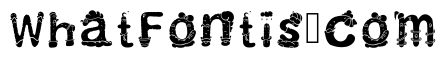 Cactus Font Regular