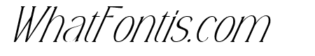 Titanium Italic