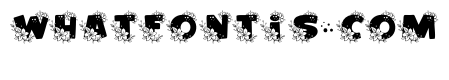 Flowers-Corner
