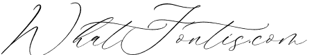 Gladioss Feather Italic