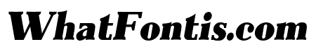 Everflow Black Italic