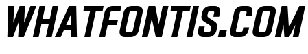 VECTRO Bold Italic