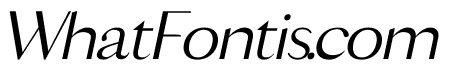 KAIDEN Italic