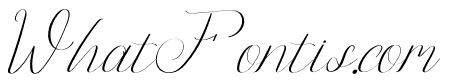 Flasstival Italic