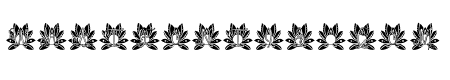 Majestic Lotus Mandala Monogram