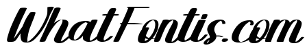 Wlaseeyo Italic