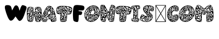 NA Leopard Love