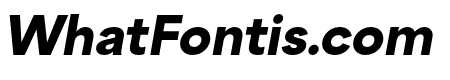 Area Extended Black Italic