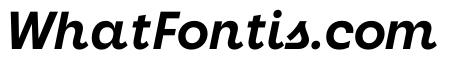 Neighbor Bold Italic