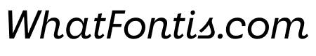 Neighbor Italic