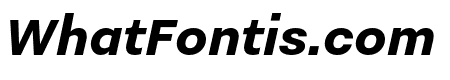 Nitti Grotesk ExtraBold Italic