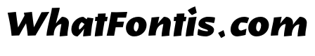 Karol Sans Black Italic