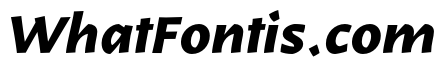 Karol Sans Bold Italic