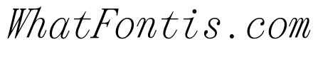 Panama Monospace Italic