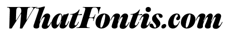 PPEditorialOld HeavyItalic