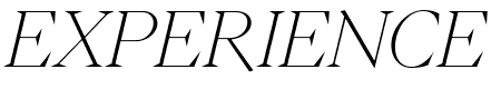 PPEiko ThinItalic