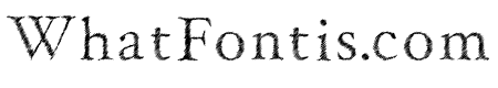 Serif Sketch