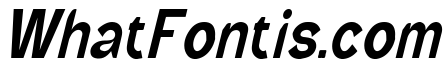 Wild Bandit Italic