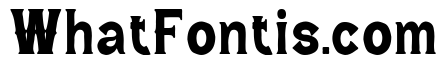 Wild Bandit Serif