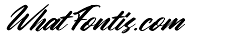 The Galaxy Italic