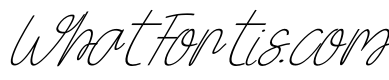 Box Spagethy Italic