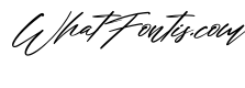 The Human Italic