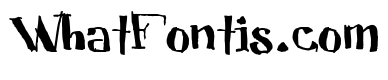CUBICULOGALLERY SERIF