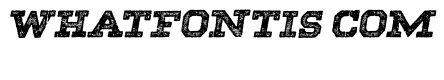 SHADOWS ITALIC PERSONAL USE Bold Italic