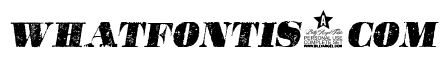 POSTERS ITALIC PERSONAL USE Bold Italic