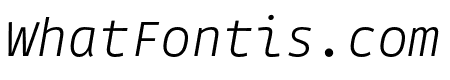 Gintronic Thin Italic