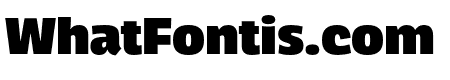 Neutronic Compressed Black