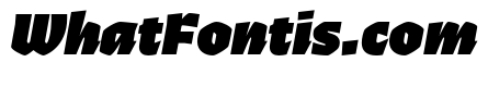 Ferryman Black Italic