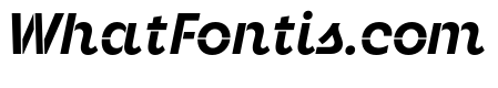 Neighbor Stencil Bold Italic