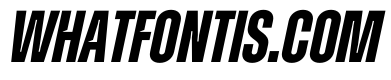 Zuume Cut Bold Italic