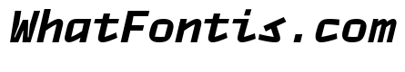 TT Autonomous Mono Bold Italic