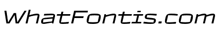 TT Autonomous Light Italic