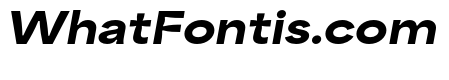 Area Inktrap Extended Black Italic