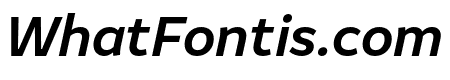Amifer Medium Italic