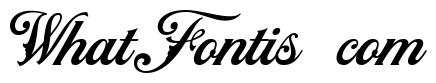 NS Mudolf Script