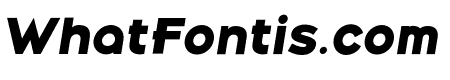 Belong Sans ExtraBoldItalic