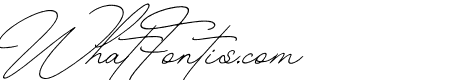 The Handwritten Watermark Obilque