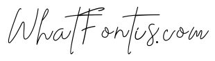 Stev Luts Italic