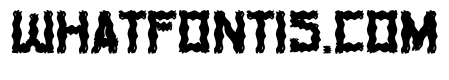 Horror Vibes