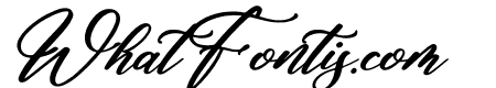 Alisha Cintia Italic