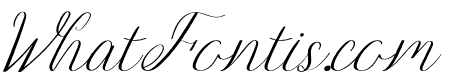 Brugundy Italic