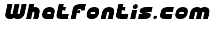 CRICKET Bold Italic