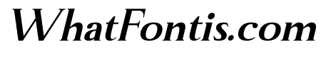 Manfitte Bold Italic