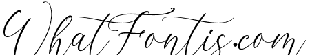 Opera Signature Script